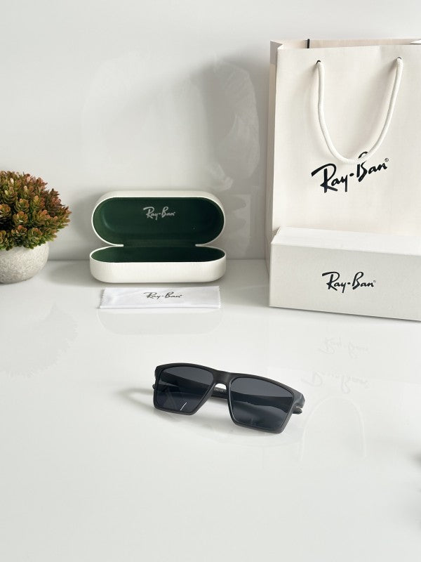 Rayyban Grey Black Sunglasses