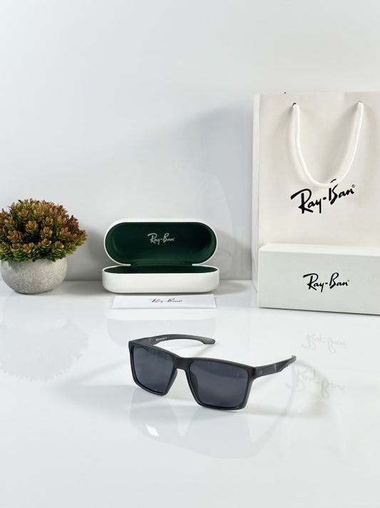 Rayyban Grey Black Sunglasses